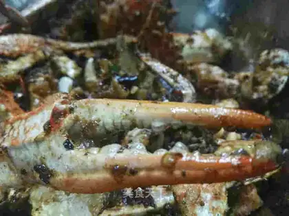 Crabs from the wind pond