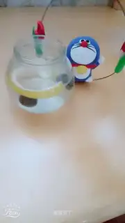 Lemonberry Spice