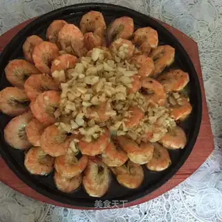 Shrimp
