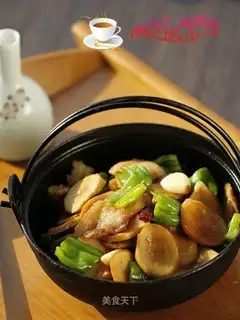 Apricot mushrooms