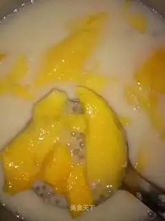 Mango broccoli simili