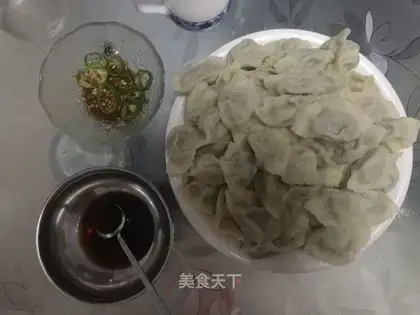 Pork dumplings