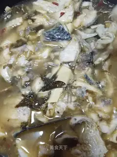 Squid fish