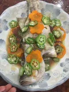Vegetable varnish