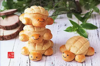 Little turtle pineapple bag