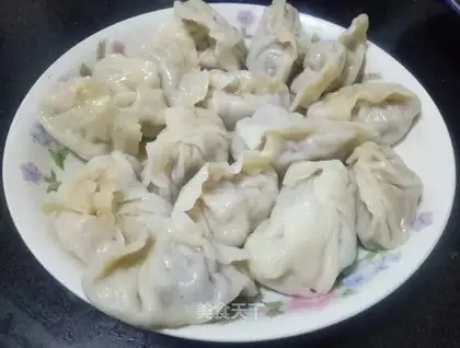 Pork cabbage dumplings