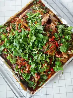 A big homemade fish