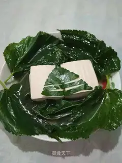 Tofu