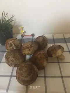 Mushroom bag