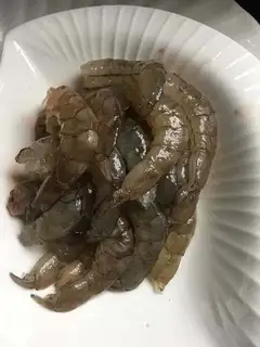 Shrimp