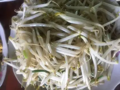 Clear the green bean bud
