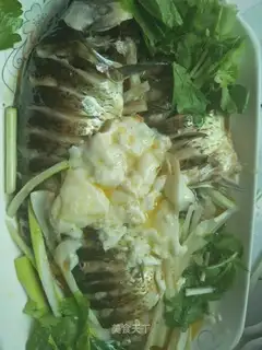 A fish