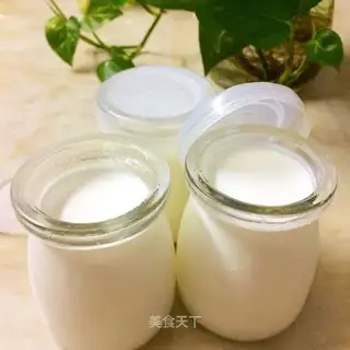 Homemade yogurt