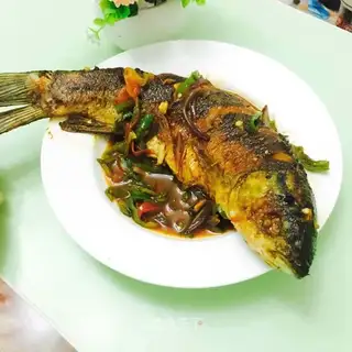 Red fish