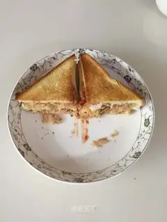 Tuna sandwich