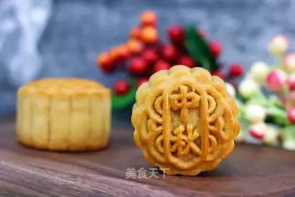 Cranberry coconut mooncake