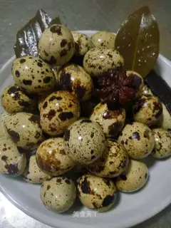 original quail egg