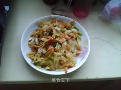 stir-fried cabbage with dried radish