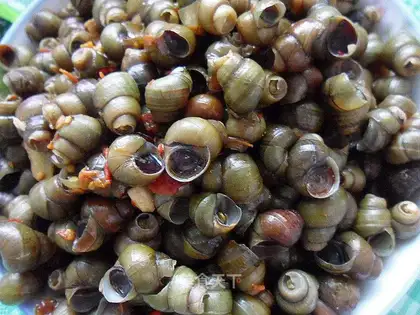 Sauce fried snail lion