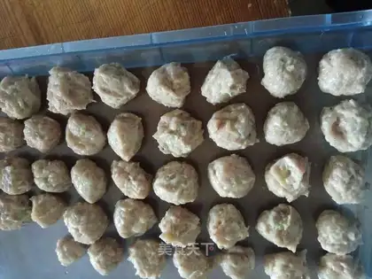 Shrimpballs