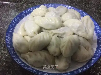 Beef dumplings