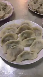 The meat dumplings