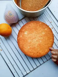 Orange Juice Cake
