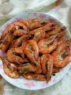 Precious red shrimp