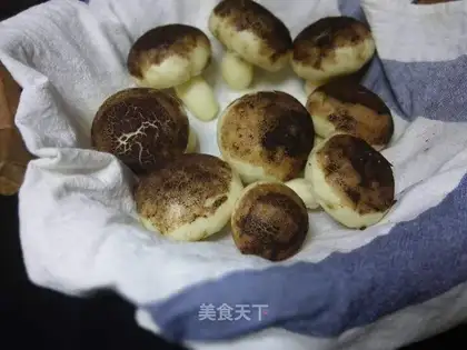 Mushroom bean bag
