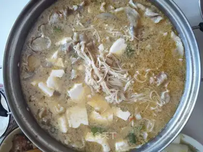 The little fatty lamb, the golden pins and mushroom soup