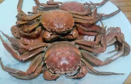 Crabs