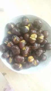 Chestnut