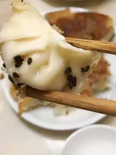 Fried dumplings