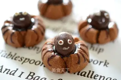Spider-cocoach
