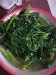 It's a garden flower