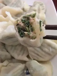 The dumplings