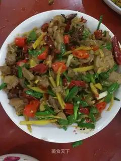 Wild boar