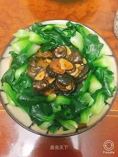 Pelican mushrooms