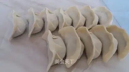 Tasty cuisine dumplings