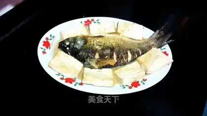 Squirty tofu