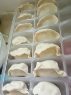 Shrimp dumplings
