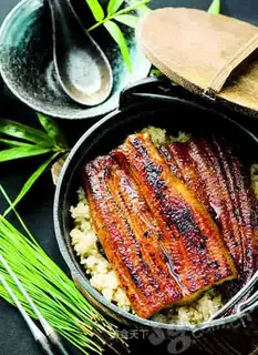 Japanese eel rice