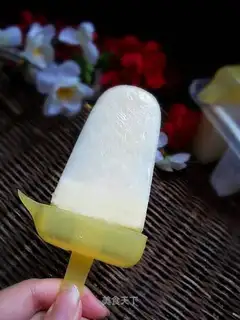 Chocolate Popsicles
