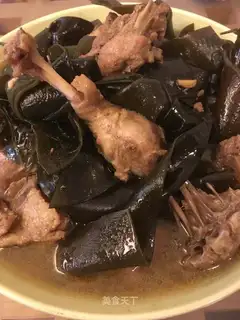Sea belt duck