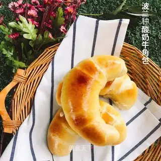 Polish yogurt horn bag