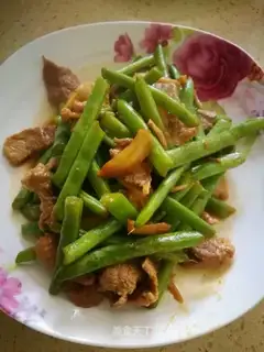Four seasons of bean fried meat