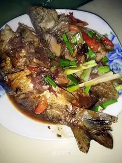 Red-burned mackerel