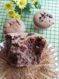 Chocolate cocoa cake