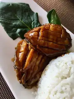 Abalone fish