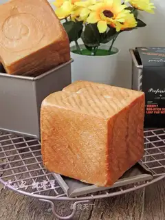 Water cube spongy toast